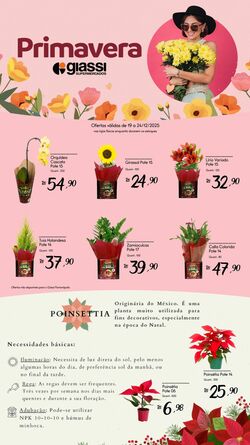 Folheto Giassi 19.12.2025 - 24.12.2025