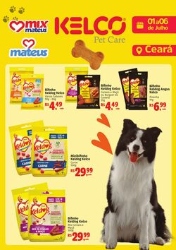 Folheto Mateus Mais 01.07.2025 - 15.07.2025