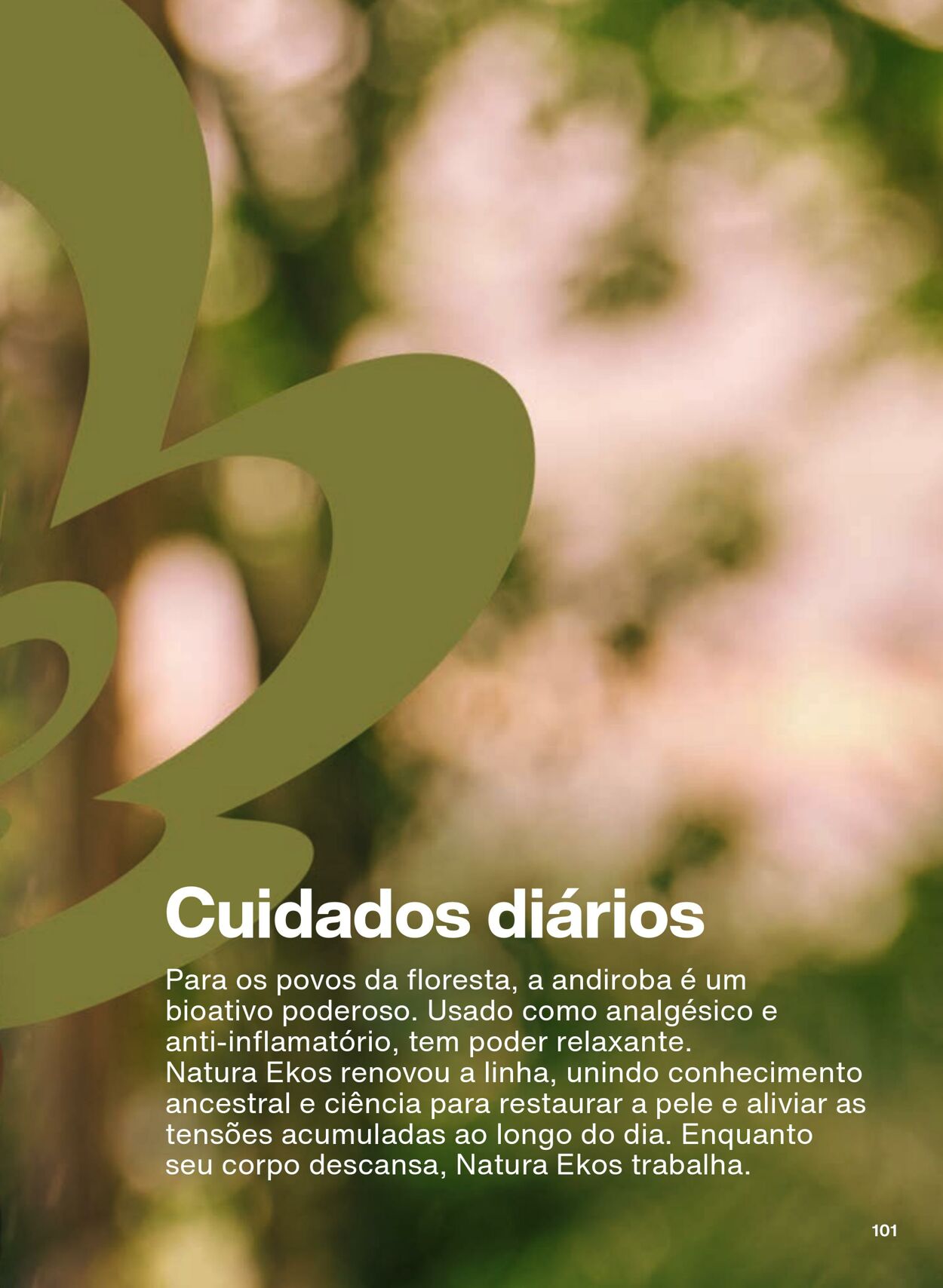 Folheto Natura 19.08.2025 - 16.09.2025