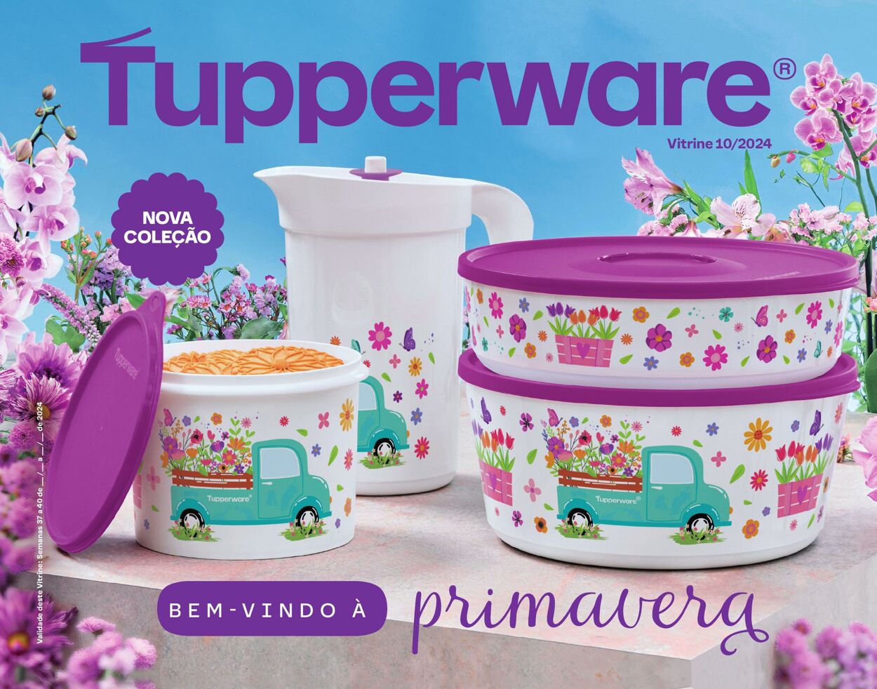 Tupperware Folhetos promocionais