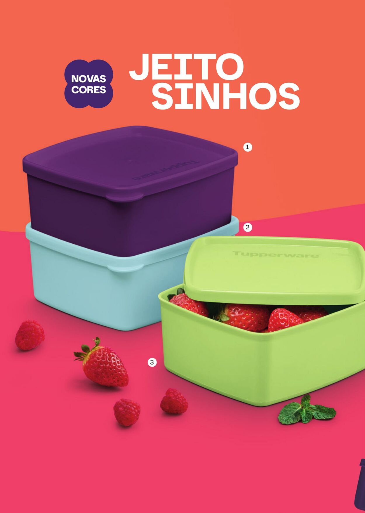 Folheto Tupperware 01.11.2025 - 30.11.2025