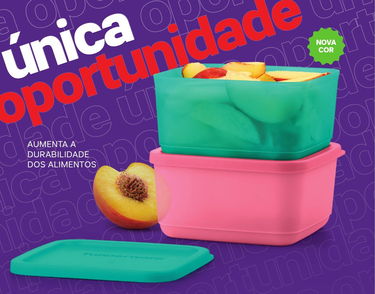 Folheto Tupperware 01.02.2024 - 31.03.2024