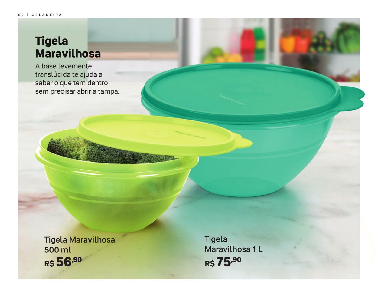 Folheto Tupperware 01.01.2024 - 29.02.2024